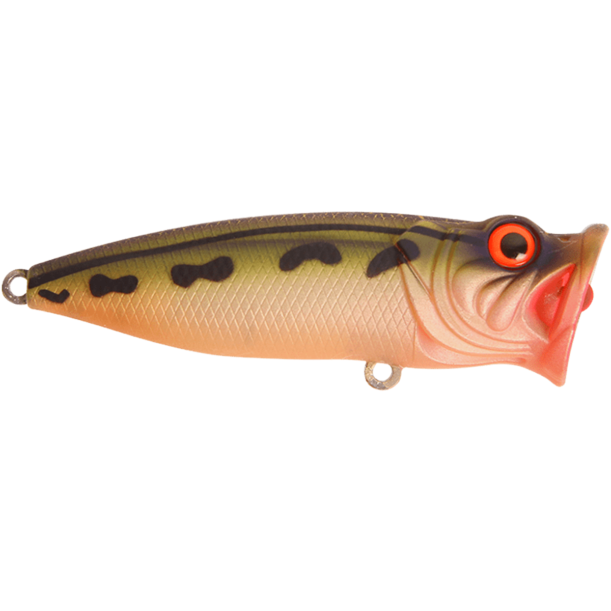 Perch pop 7 cm