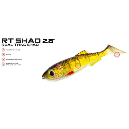 Molix Real Thing Shad 6,35cm, 6-pack